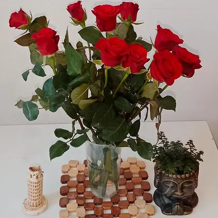 Casa de hóspedes Nastaran Nest *