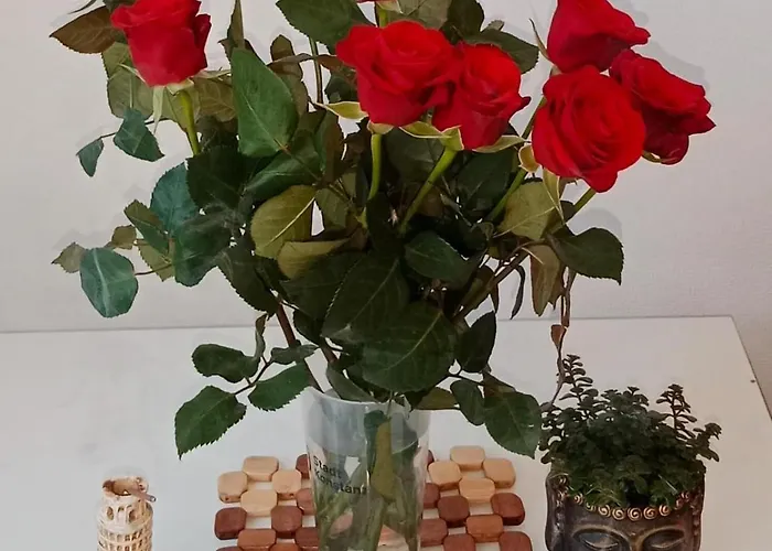 Gæstehus Nastaran Nest *